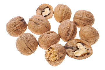 walnut