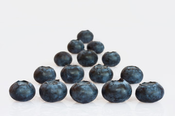 Blueberries in rows