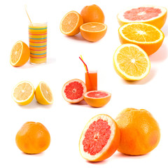 citrus collection