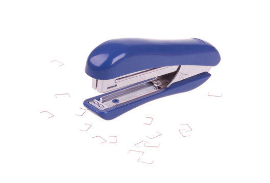 Stapler with clips