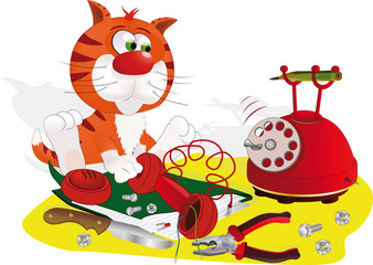 cat repairing phone