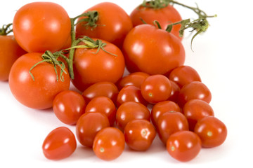 Fresh tomatoes