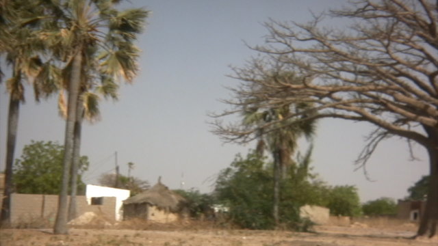 African landscape Baobab and Palmtree