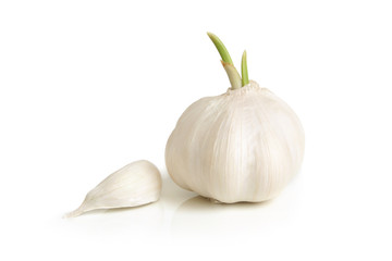 Clove and bulb of garlic