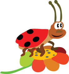 the ladybird