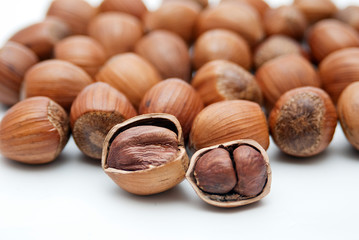 Hazelnut