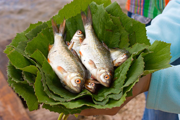 raw fish on green leafs in hands