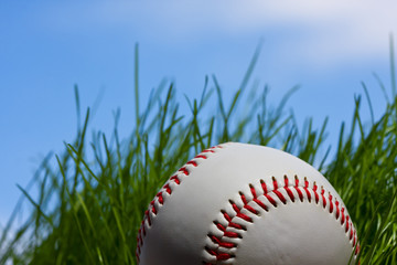 baseball lost in the grass