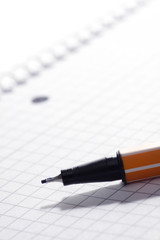 leeres Blatt mit Stift