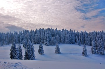 Paysage de montagne.