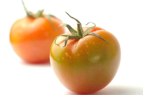 Pomodori camone