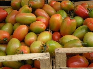 Pomodori