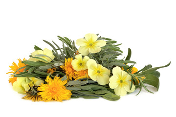 Herb Leaf and Wildflower Mixture