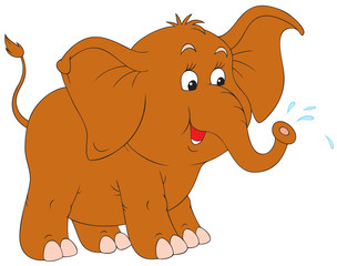 Little elephant