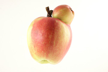ripe double apple on white background