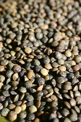 lentilles
