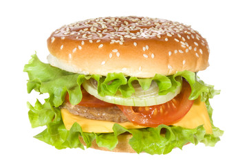hamburger with vegetables