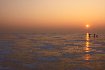 Fototapeta premium Winter am Neusiedler See