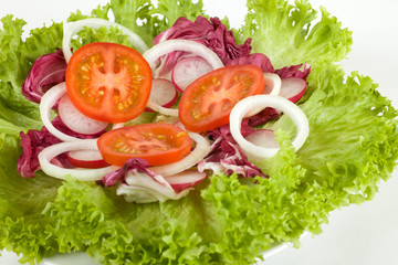 salatteller