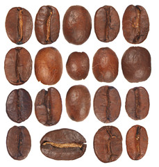 Coffee seeds isolated on white