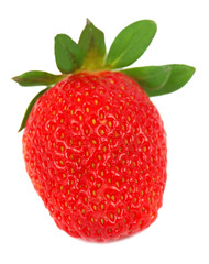 Strawberry isolated on white