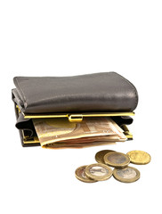 Wallet with coins and banknotes