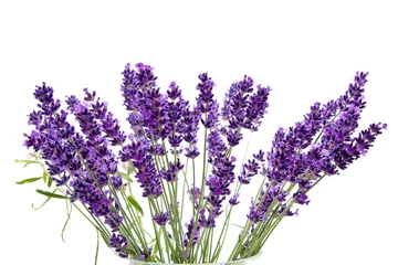 Deurstickers Lavender over white background © Sandra van der Steen