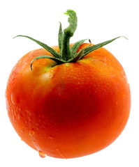 tomate mûre fond blanc