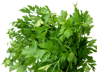persil, fond blanc