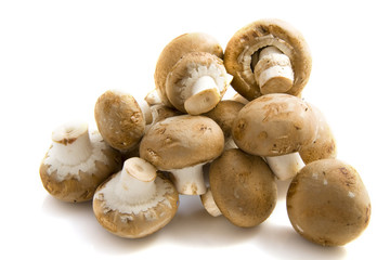 Pile of mushrooms