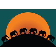 Silhouettes of elephants at twillight