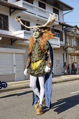 Carnaval de Guyane 2010. Grande Parade de Cayenne