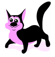 kitten
