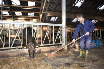 Cleaning a stable