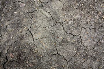land