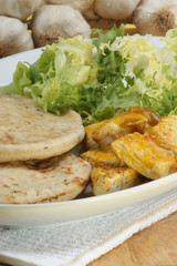 naan bread with turkey curry on a plate