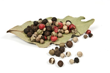 Bunter Pfeffer auf einem Lorbeerblatt