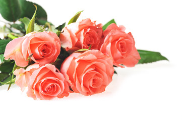 Bunch of roses