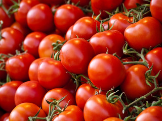 Fresh red market tomatoes from Israel