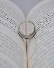 Fototapeta premium Boda