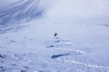freestyle skier on a slope