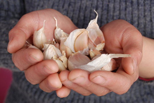 garlic