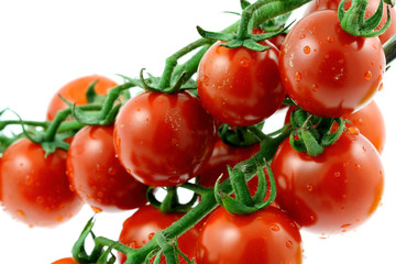 grappes petites tomates cerises, cocktail, fond blanc