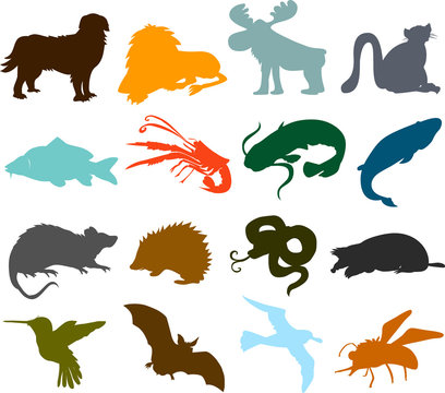 Set of animals icons  - silhouettes 01