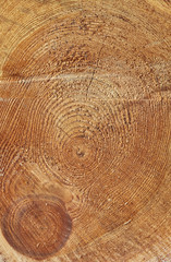 Jahresringe