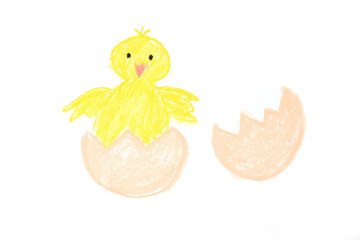 Easter new-born chick painted