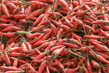 Chili