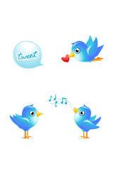 tweet birds