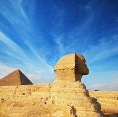 Sphynx
