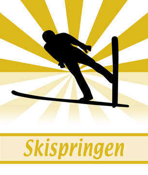 Skispringer